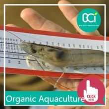 organic aquaculture